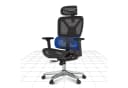 FLEXISPOT Bürostuhl ErgoX, Schreibtischstuhl Premium Ergonomischer 130KG Bild 2