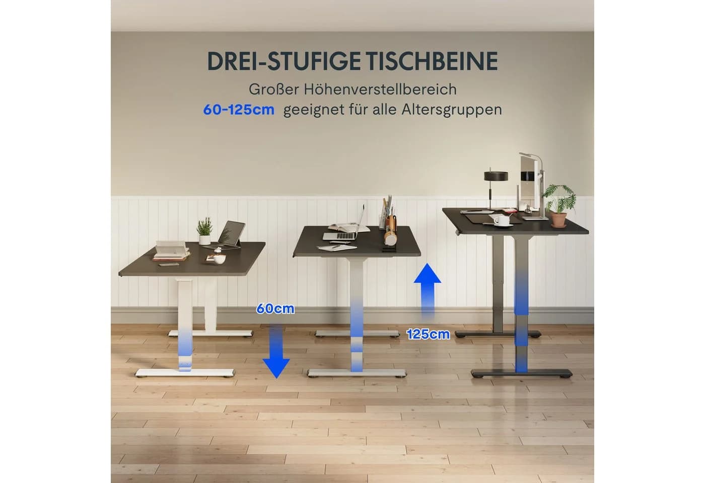 FLEXISPOT EC5 LITE Elektrisch Höhenverstellbarer Schreibtisch Schwarz - Bild 4