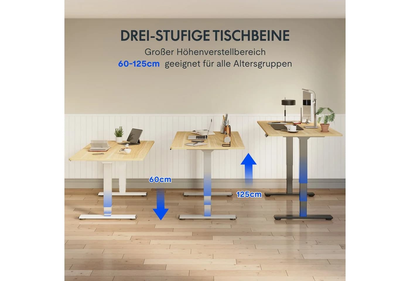FLEXISPOT EC5 LITE Höhenverstellbarer Schreibtisch Dualmotor - Bild 4