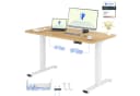 FLEXISPOT Schreibtisch Basic Plus höhenverstellbar Bambus Bild 2