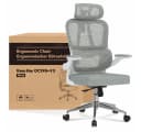 FLEXISPOT Bürostuhl Ergonomisch mit 2D-Kopfstütze & Lendenstütze Bild 2