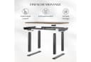 FLEXISPOT Schreibtisch Elektrisch Höhenverstellbar Schwarz 160x80 cm Bild 3