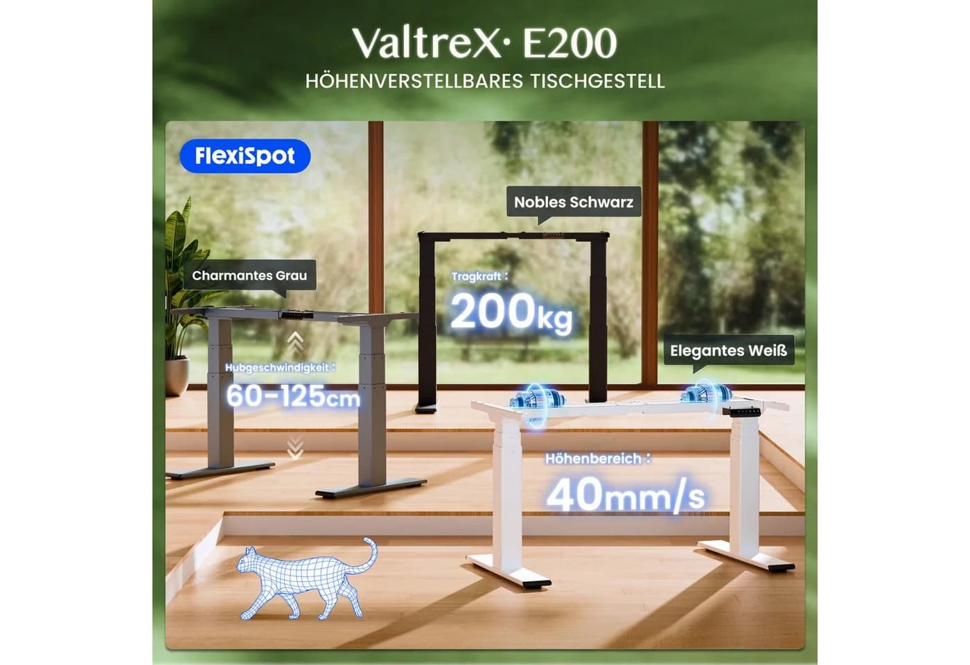FLEXISPOT ValtreX E200 Elektrisch Höhenverstellbarer Schreibtisch Dualmotor