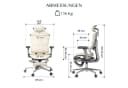 FLEXISPOT Bürostuhl ErgoX Beige 5D-Rückenlehne 3D-Armlehnen Bild 3