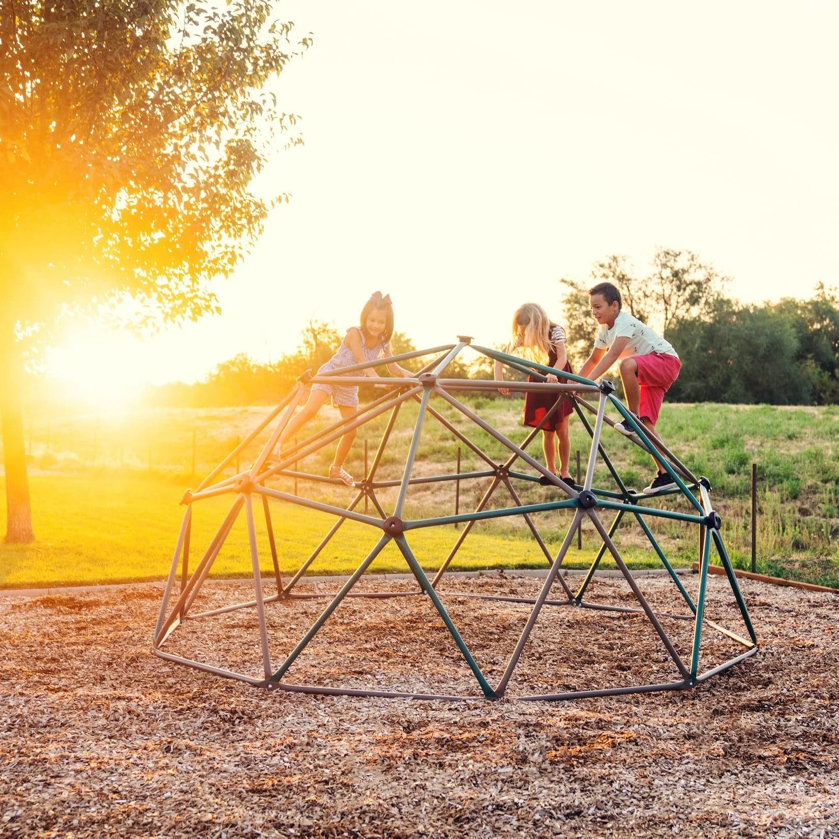 Lifetime Kletter- und Spielkugel Geodome Bunt