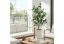 GarveeMore Künstlicher Ficus Baum 150 cm Grün Weiß Modern Bild 1