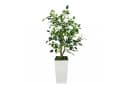 GarveeMore Künstlicher Ficus Baum 150 cm Grün Weiß Modern Bild 2