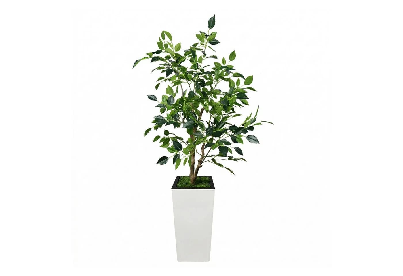 GarveeMore Künstlicher Ficus Baum 150 cm Grün Weiß Modern - Bild 2
