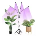 Gardlov Vollspektrum LED Wachstumslampe mit Stativ Indoor Bild 3