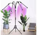 Gardlov Vollspektrum LED Wachstumslampe mit Stativ Indoor Bild 4