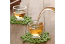 LA CUTE 6er Set Doppelwandige Glastassen 80ml Transparent Bild 4