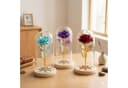 AMORE MIO LED Rosen Ornament mit Holzsockel und Dekokuppel Bild 3