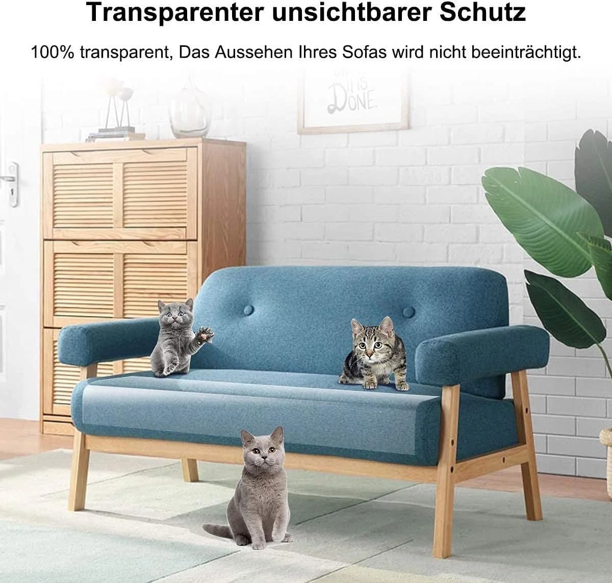 LA CUTE Kratzmatte Möbel-Kratzschutz Folie für Katzen & Hunde, Sofa Kratzfolie, Transparent - Bild 5