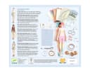 DJECO Kreativset Mode Workshop Modepuppen mit Stoff & Accessoires Bild 4