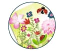 DJECO Kreativset Bastelpackung Glitzerbilder mit Glitzersand Bunt Bild 4