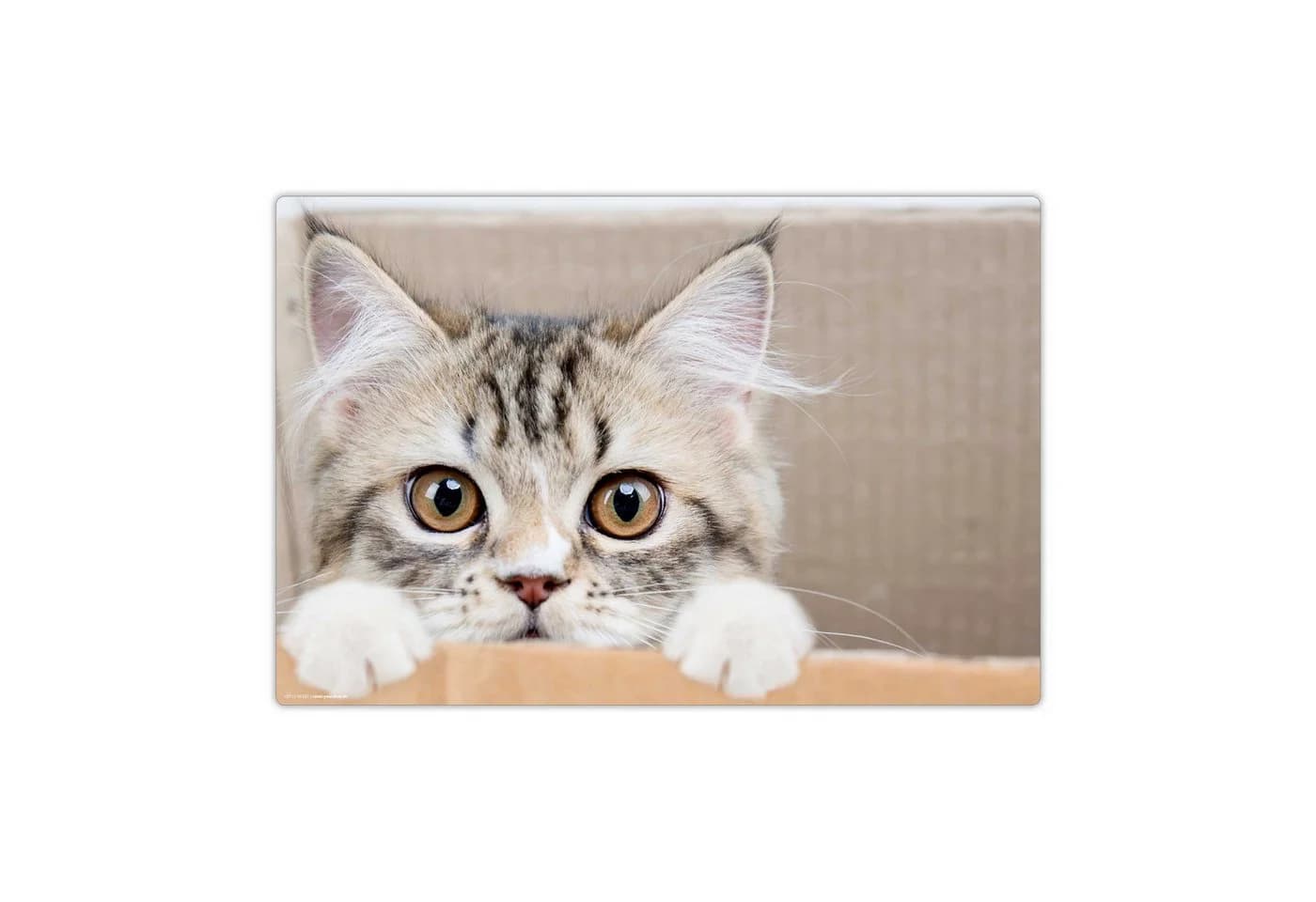 cover-your-desk.de Schreibtischunterlage Maine Coon Kätzchen Vinyl - Bild 2
