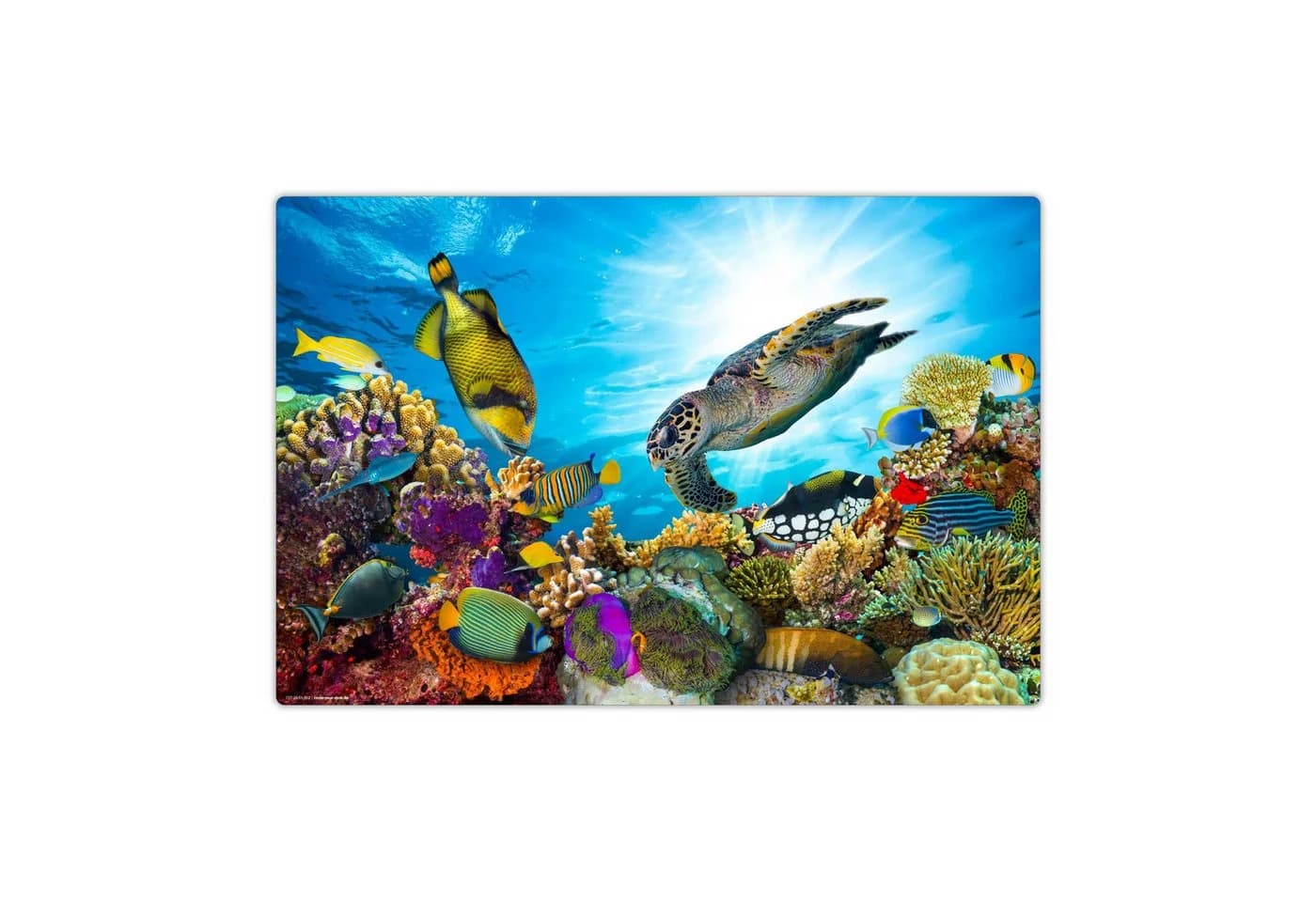 cover-your-desk.de Schreibtischunterlage Unterwasserwelt Blau Bunt Vinyl - Bild 2