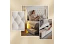 Furnishings Home Polsterbett Stauraumbett Doppelbett 160x200 cm mit LED-Beleuchtung und Samt Bild 1