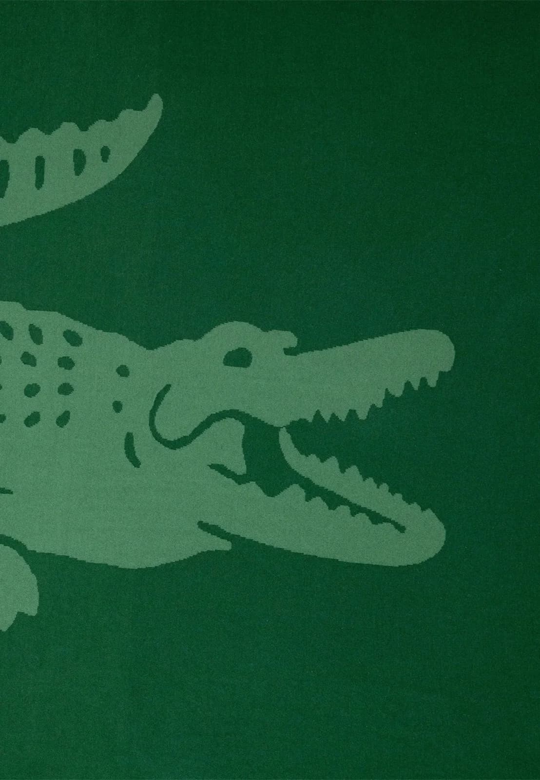 Lacoste Plaid LREFLET Grün 100% Baumwolle Wohndecke