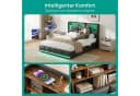 ADWOLT Stauraumbett Schwarz mit LED, USB & Lattenrost Bild 3