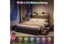 ADWOLT Polsterbett mit Stauraum, LED & USB-Anschluss Grau Bild 3