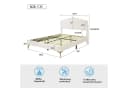 Furnishings Home Polsterbett 140x200cm mit LED-Beleuchtung und Samtbezug Bild 5