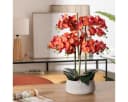 Künstliche Orchidee SANAE im Zementtopf - 65 cm Zimmerpflanze Bild 1