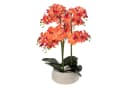 Künstliche Orchidee SANAE im Zementtopf - 65 cm Zimmerpflanze Bild 2