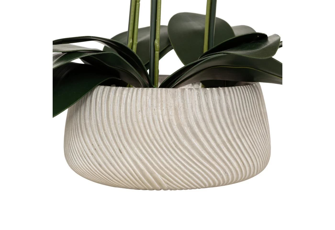 Künstliche Orchidee SANAE im Zementtopf - 65 cm Zimmerpflanze - Bild 4