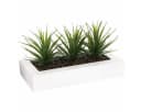 Atmosphera Créateur d'intérieur Kunstpflanze ALOE VERA 3er Set Bild 2