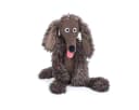 Moulin Roty Kuscheltier Großer Stinkehund Bunt Bild 2