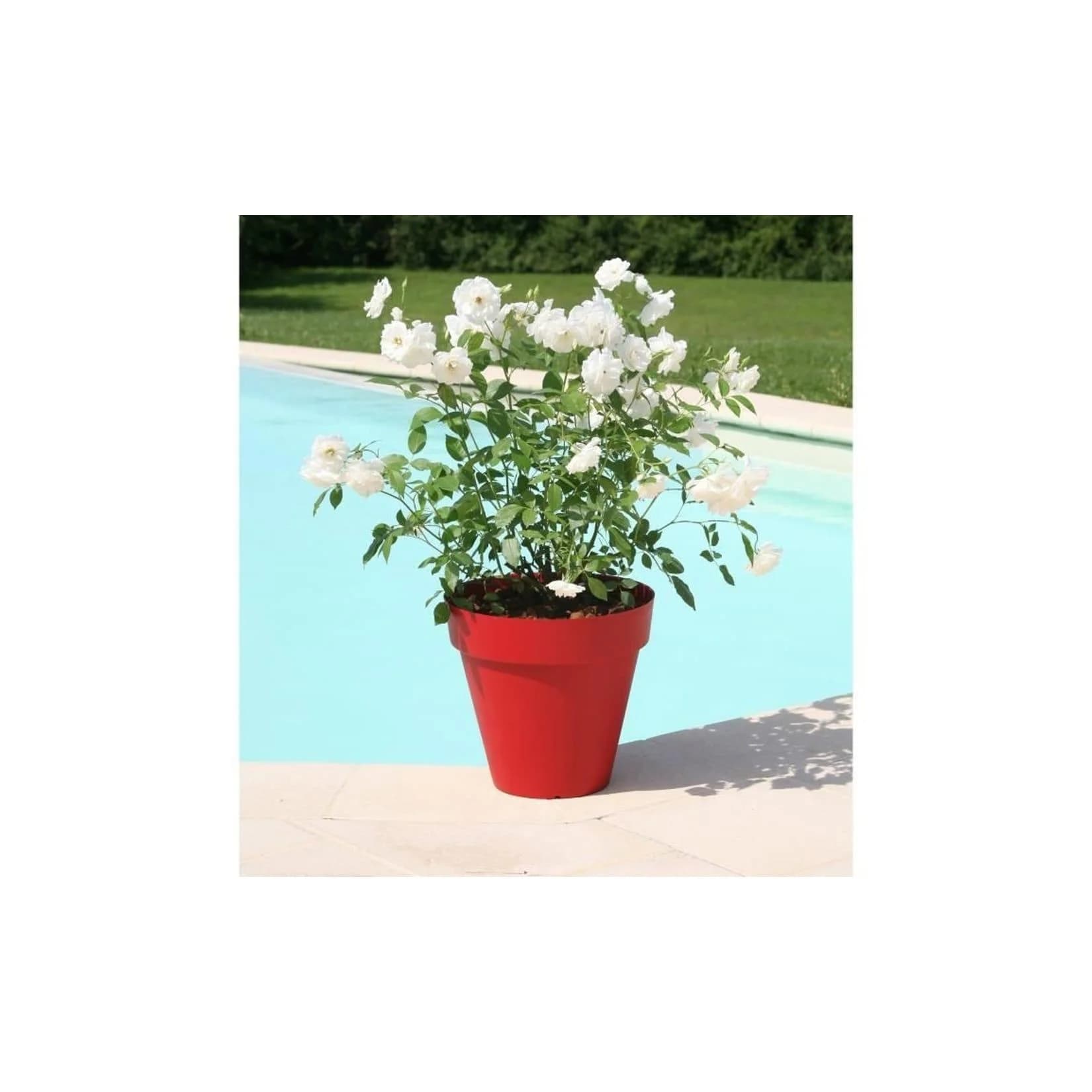 RIVIERA Blumentopf rund rot Ø 49 x 44,8 cm