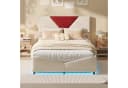 zebery Polsterbett Stauraumbett Beige Samt mit LED-Beleuchtung Bild 4