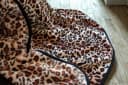 Biederlack Wohndecke Deluxe Leopardenmuster 150x220 cm Bild 4