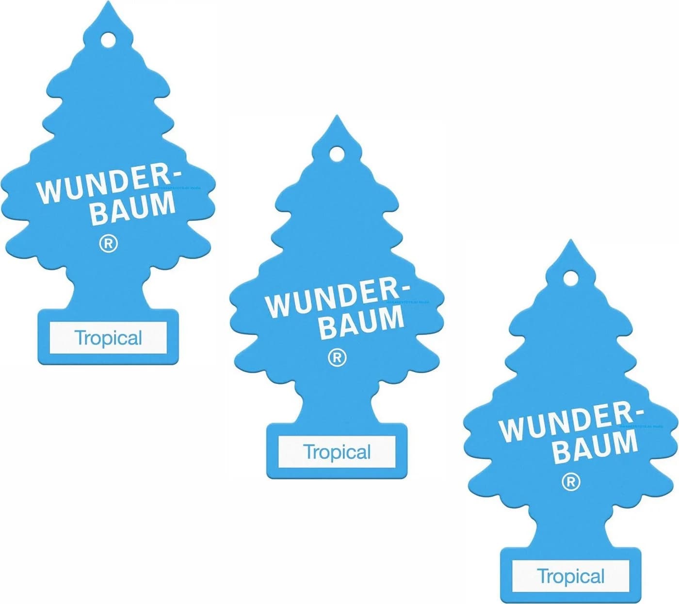 Wunder-Baum 3er Set Tropical Wunderbaum little Tree