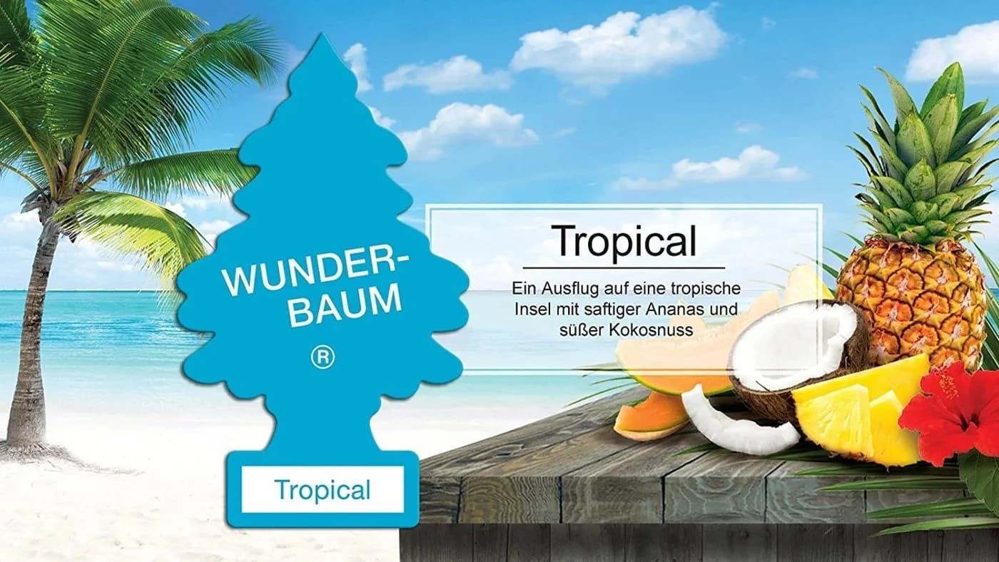 Wunder-Baum 3er Set Tropical Wunderbaum little Tree - Bild 3