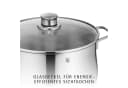 WMF Fleischtopf Diadem Plus Edelstahl 18/10 mit Glasdeckel Bild 3