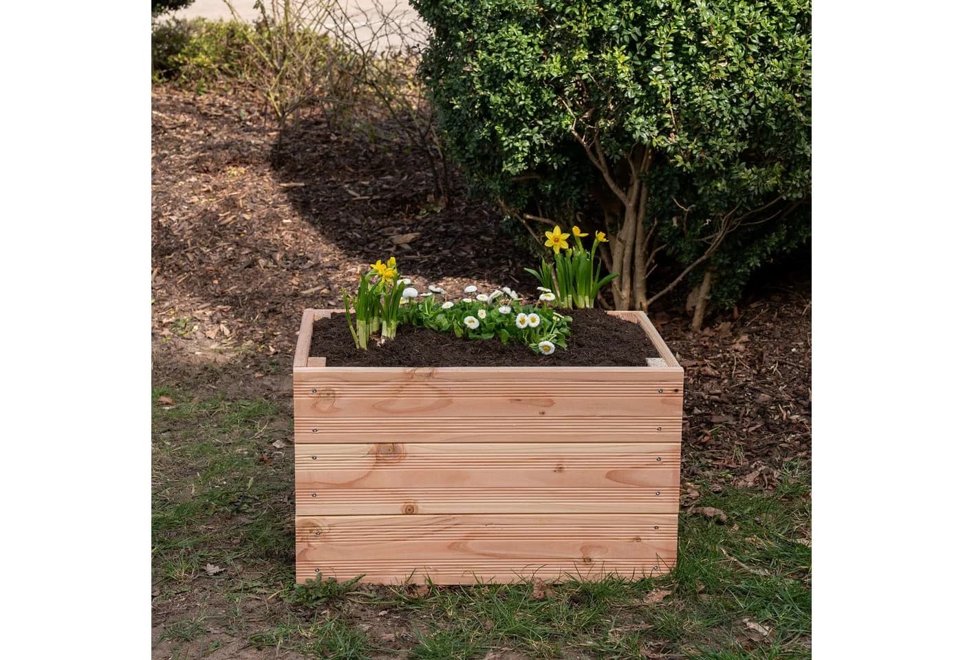 WOMONY Mini-Hochbeet Douglasie Natur 60 x 39 x 36 cm - Bild 5