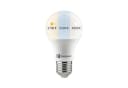 Paulmann LED-Leuchtmittel Filament E27 8,5W Opal White Switch Bild 2
