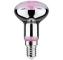 Paulmann LED-Pflanzenlampe Wachstum 4 W Bernstein Bild 2