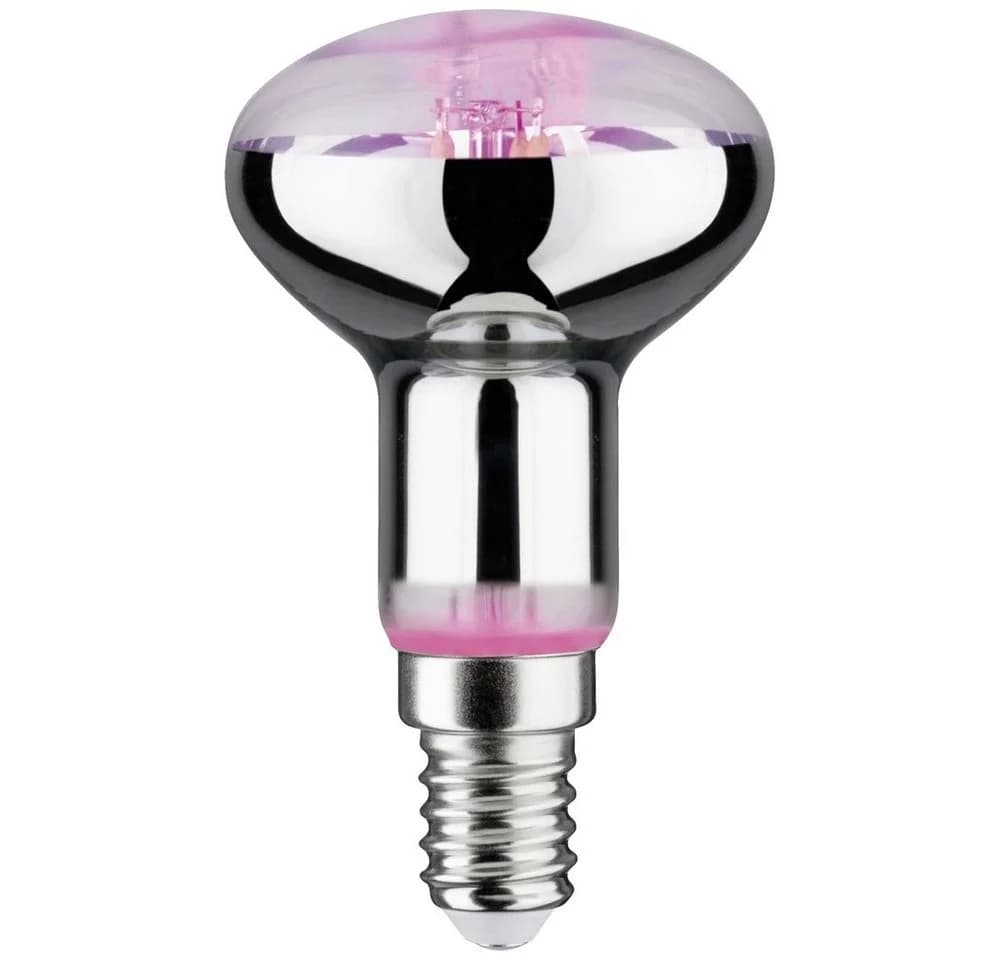 Paulmann LED-Pflanzenlampe Wachstum 4 W Bernstein - Bild 2
