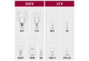 PAULMANN LED-Leuchtmittel Globe125 230lm 1800K gold 4W spiral Filament Bild 5