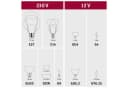PAULMANN LED-Filament Globe E27 Dimmbar Warmweiß Transparent Bild 4
