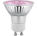 Paulmann LED-Pflanzenlampe Bernstein GU10 3.5W Vollglas Bild 2
