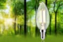 Paulmann LED-Leuchtmittel Eco-Line Filament E14 2,5W 3000K Warmweiß Bild 1