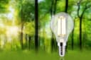 PAULMANN LED-Leuchtmittel Eco-Line Filament E14 2,5W 3000K Transparent Bild 1