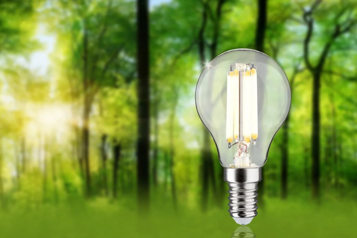 PAULMANN LED-Leuchtmittel Eco-Line Filament E14 2,5W 3000K Transparent