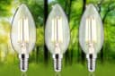 Paulmann LED-Leuchtmittel Eco-Line Filament E14 3er-Pack Warmweiß Klar Bild 1