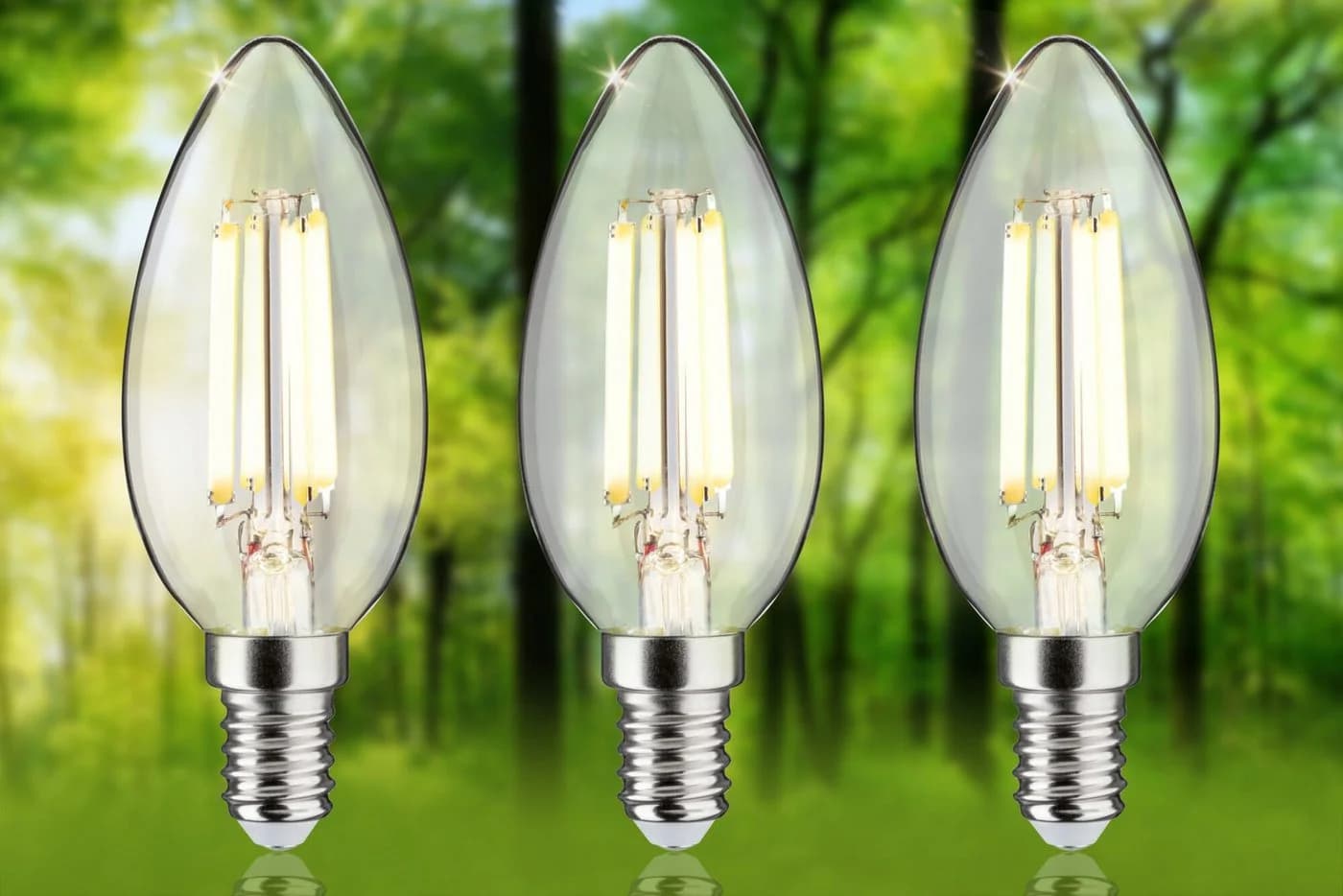Paulmann LED-Leuchtmittel Eco-Line Filament E14 3er-Pack Warmweiß Klar