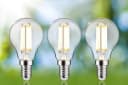 Paulmann LED-Leuchtmittel Eco-Line Filament E14 3er-Pack Warmweiß Bild 5